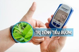 lá ổi chữa tiểu đường